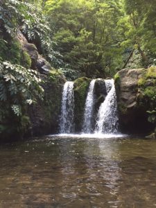 hotsprings